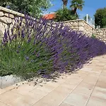 Luxury White Violeta *