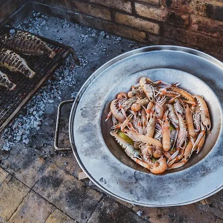 Luxury White Violeta *