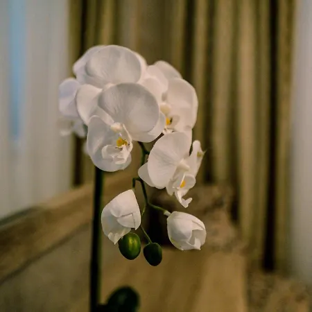 דירה Luxury White Violeta