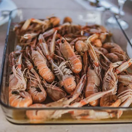 Luxury White Violeta شقة