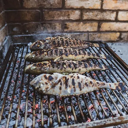 Luxury White Violeta * Mandre