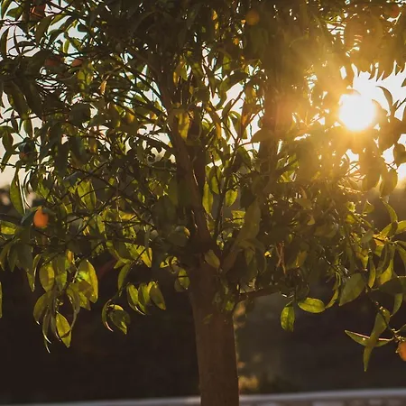 Апартаменты Luxury White Violeta