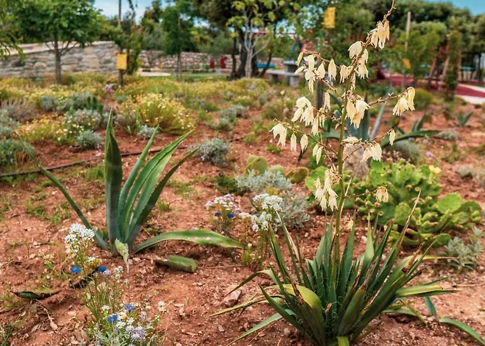 Luxury White Violeta *